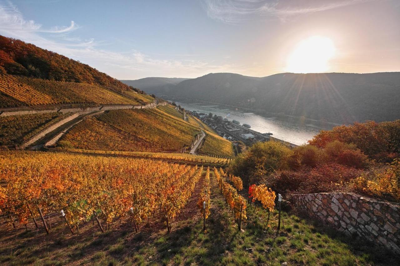 Breuer'S Ruedesheimer Schloss Rüdesheim am Rhein Eksteriør billede